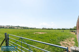 Field- click for photo gallery
